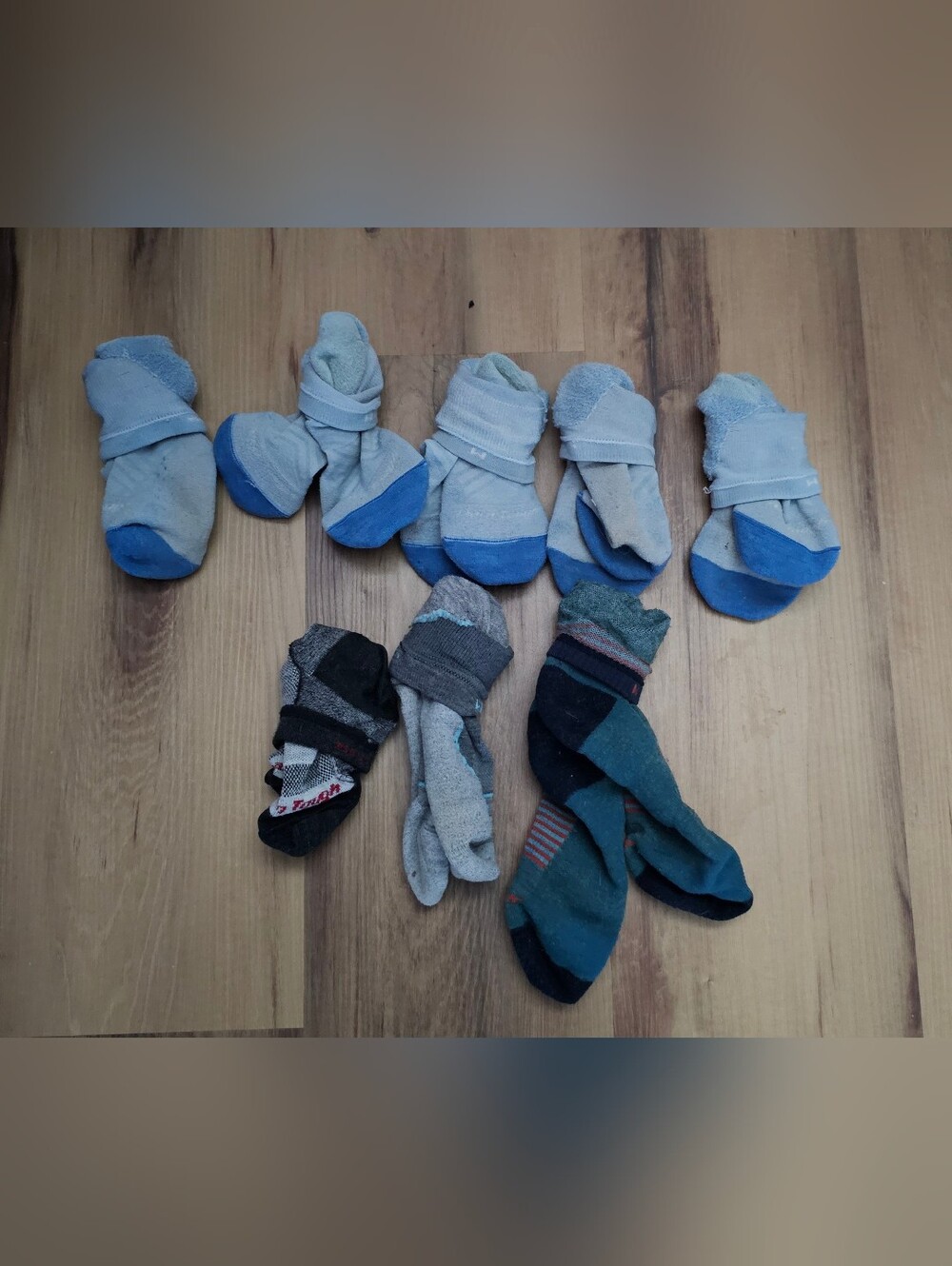 Women’s Athletic Crew Socks - Gray with Blue Accents